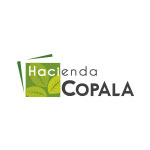 Inmobiliaria Hacienda Copala Guadalajara